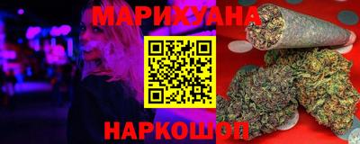 МДПВ Бийск