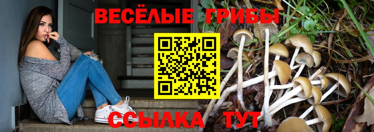 Галлюциногенные грибы Cubensis  Вход с VPN  Калач-на-Дону  Галлюциногенные грибы ЛСД 